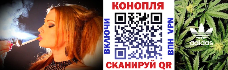 Конопля планчик  Купить  Кола 